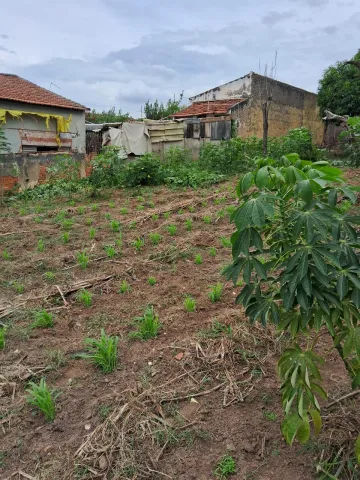 Terreno à venda R$ 450.000,00 - Vila Naidelice / Vila Pires - Santa Bárbara D`Oeste /SP